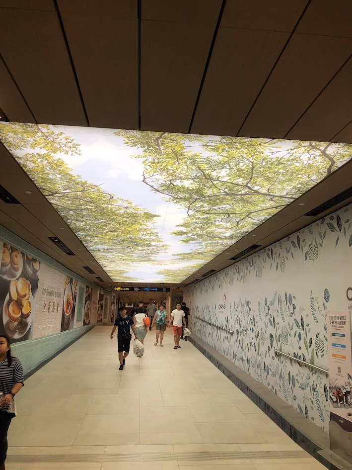 Airport link corridor under a backlit ceiling panel printed with tree canopy and sky