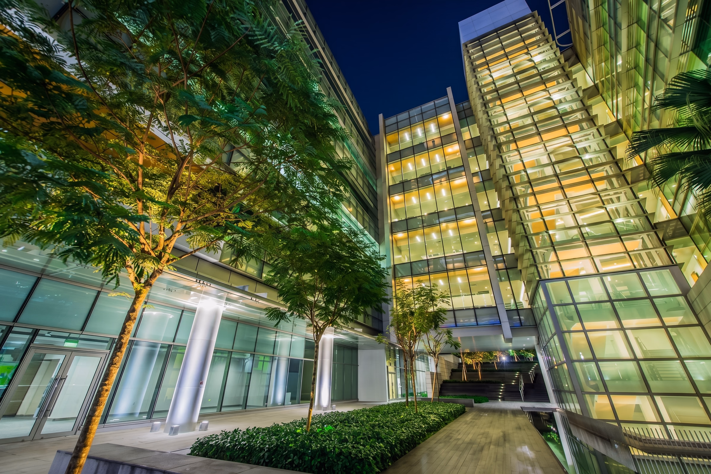 Planted research campus courtyard at night, with uplit trees against stacked glass facades glowing warm from within